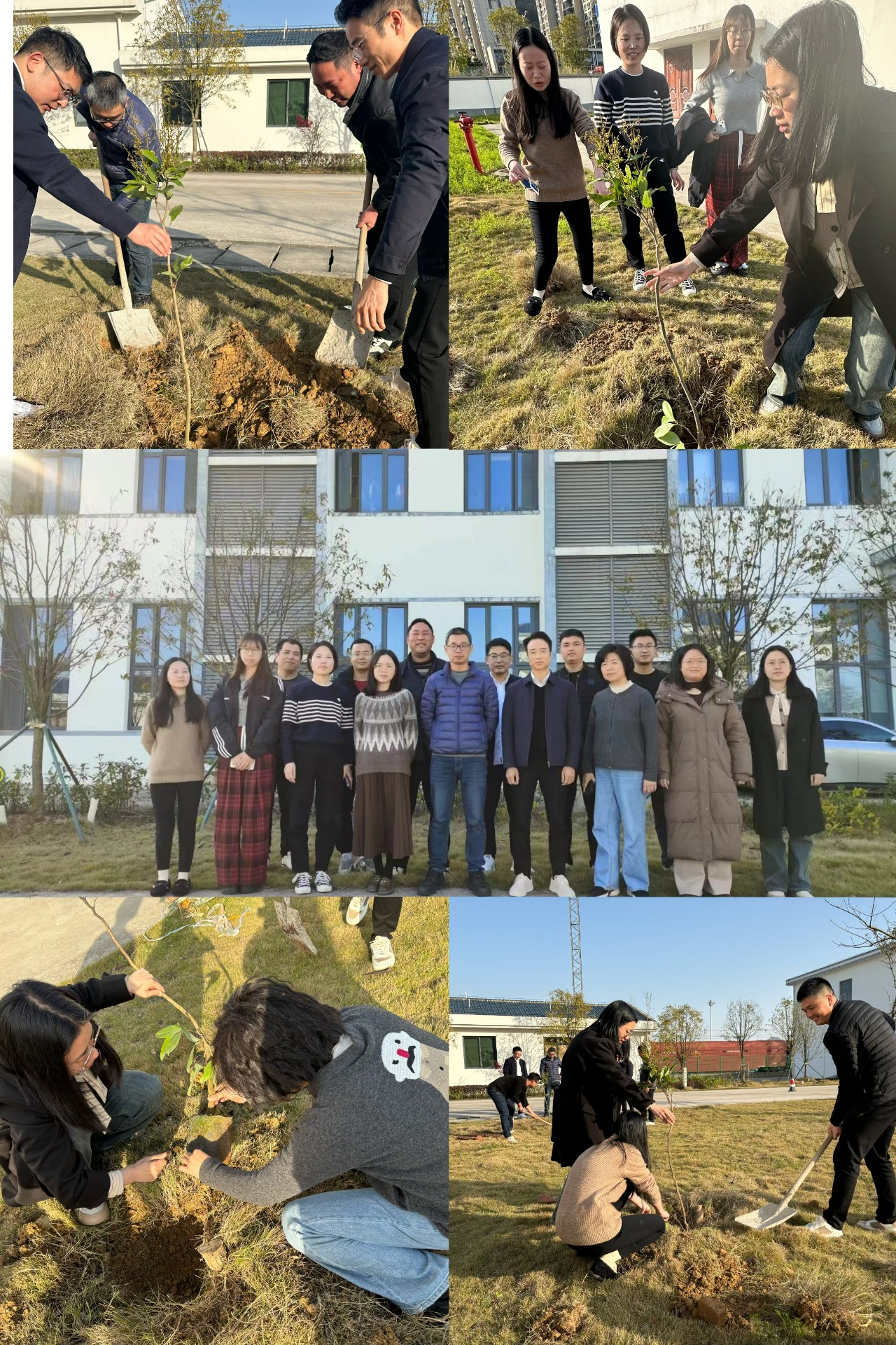 2024-3-12綠色陸港，美麗寧德，阮克妙拍攝.jpg